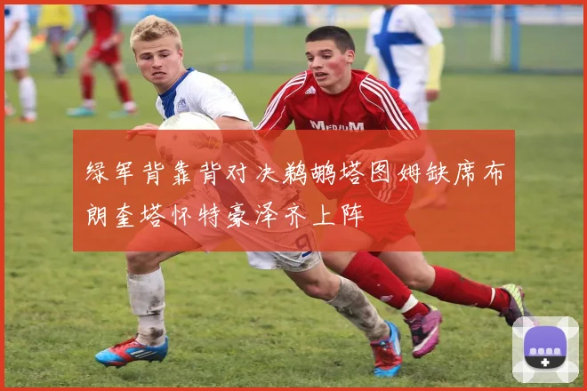绿军背靠背对决鹈鹕塔图姆缺席布朗奎塔怀特豪泽齐上阵